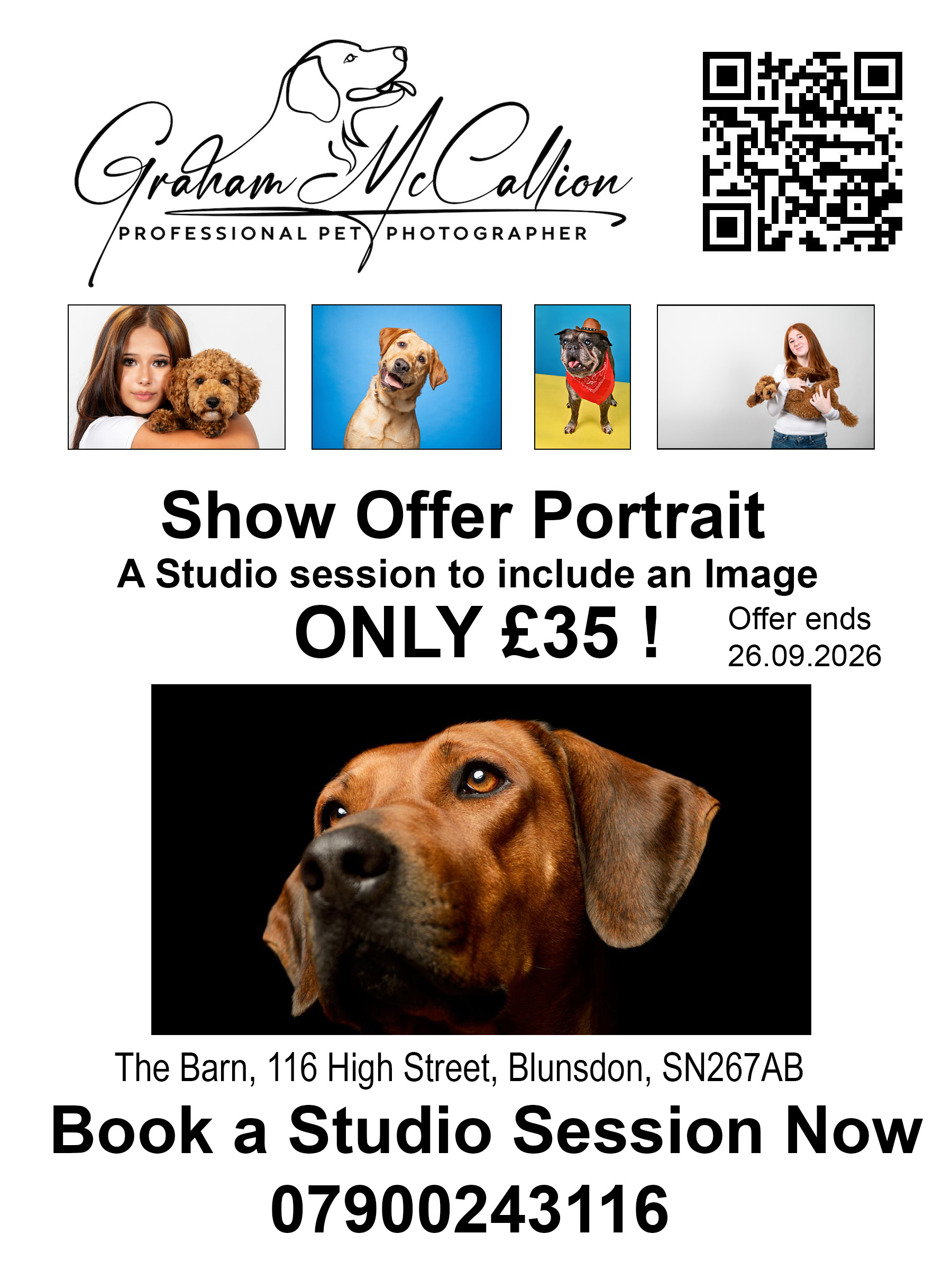 Graham McCallion Pet Portraits Promotion